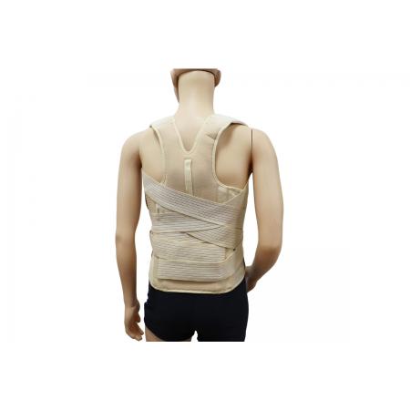 Semi-rigid dorso lumbar back support